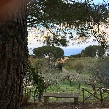 Villa Del Bergamotto Cefalù
